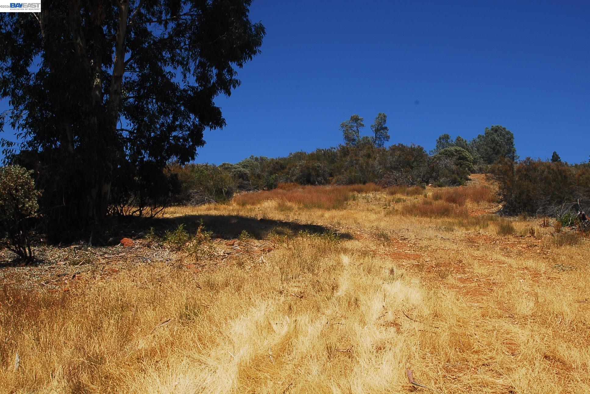3341 Rancho Tierra Court Cameron Park, CA 95682 - Photo 11 of 28 a view of a yard