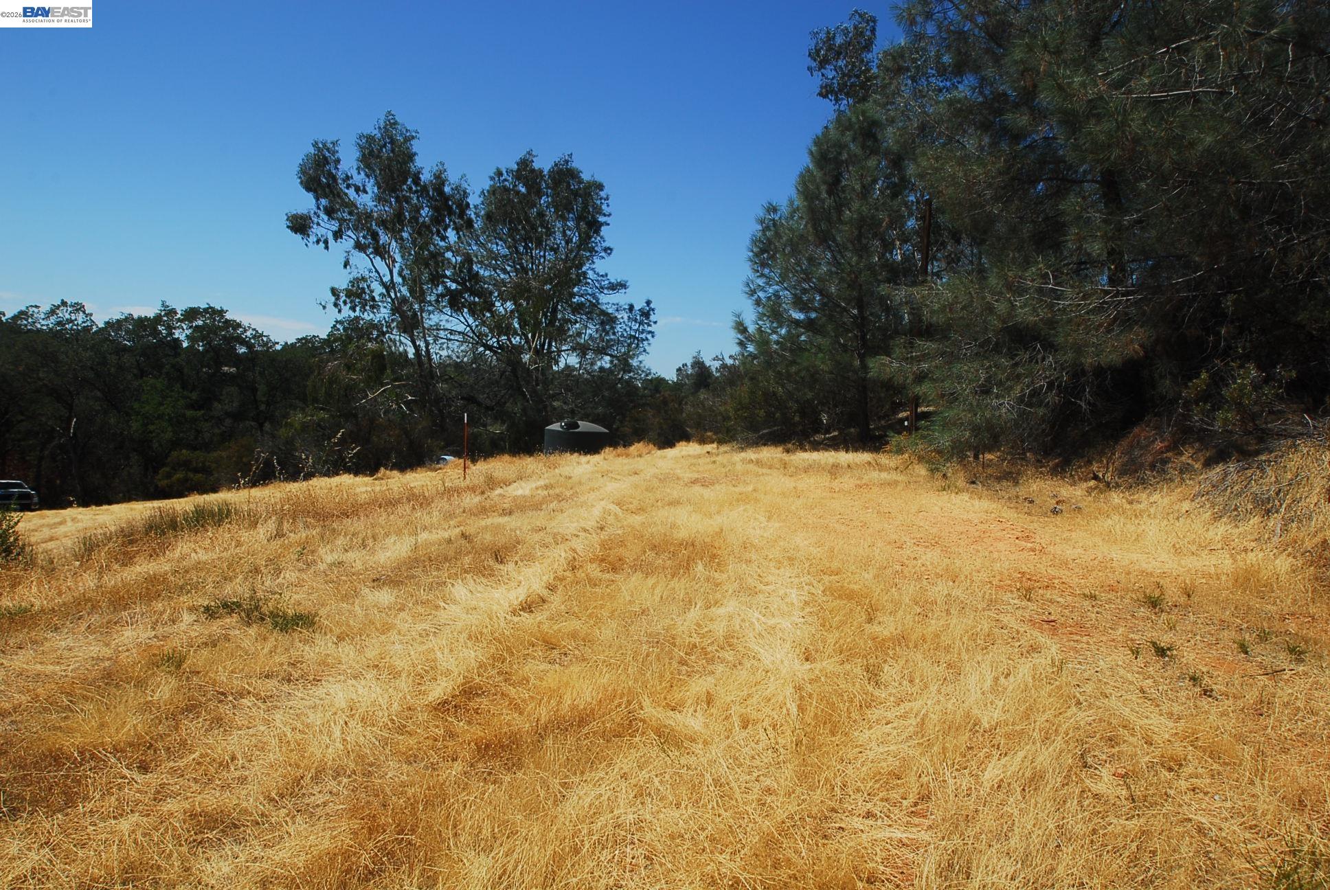 3341 Rancho Tierra Court Cameron Park, CA 95682 - Photo 17 of 28 a view of white wall next to a yard