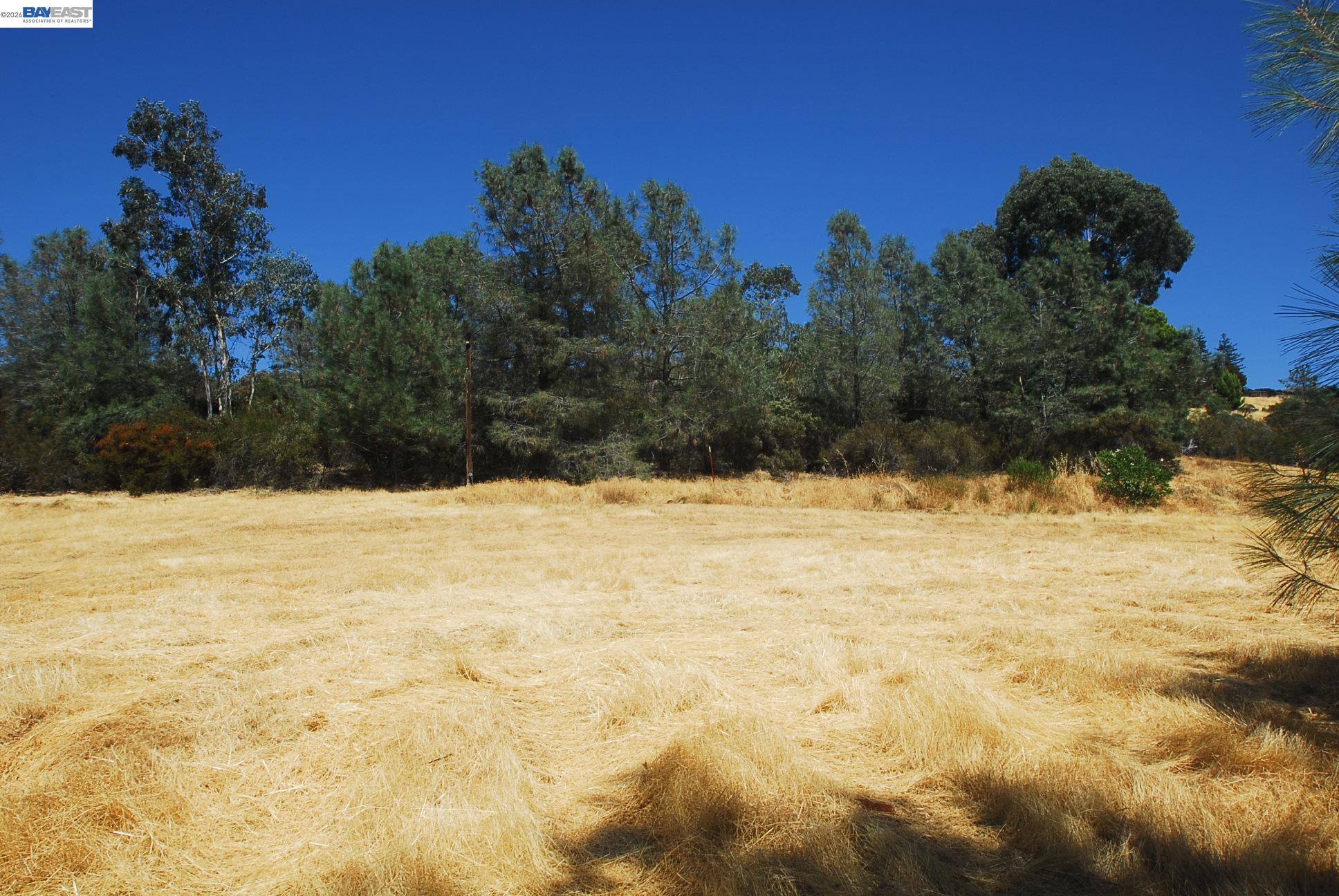 3341 Rancho Tierra Court Cameron Park, CA 95682 - Photo 20 of 28 a view of yard covered with snow in the background