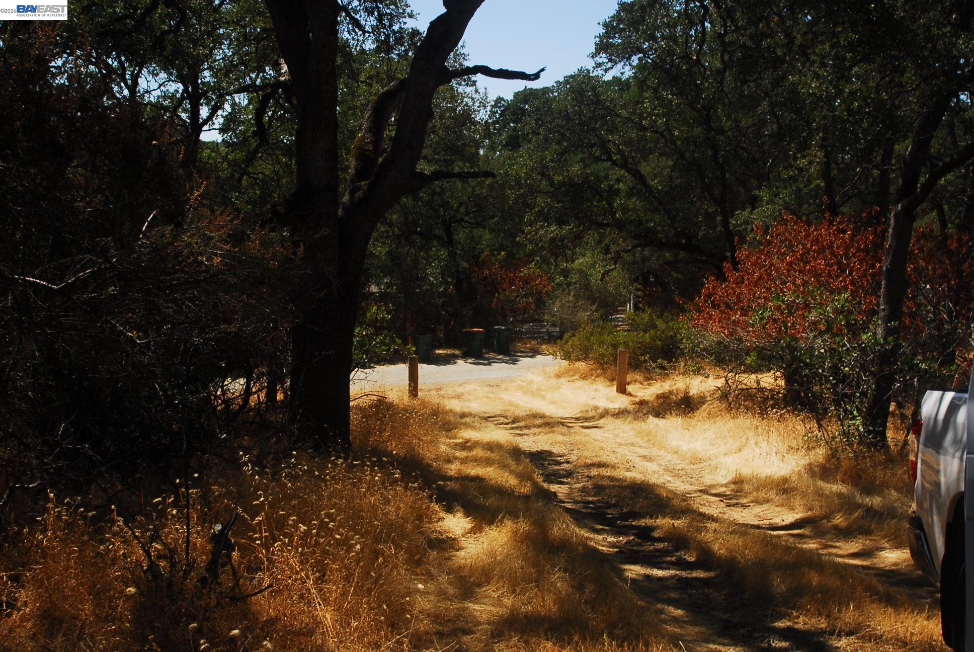 3341 Rancho Tierra Court Cameron Park, CA 95682 - Photo 2 of 28 a view of a yard with a tree