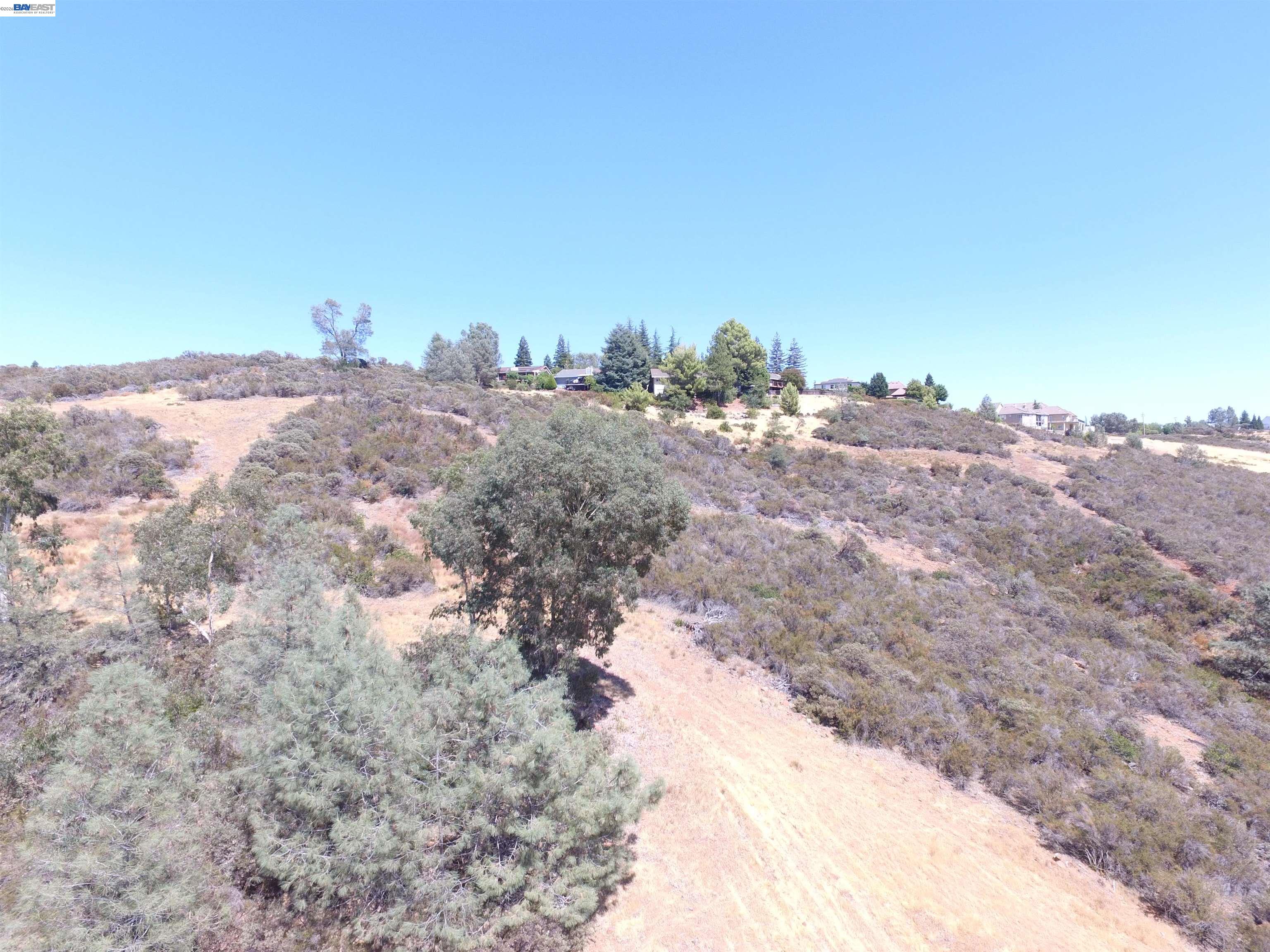3341 Rancho Tierra Court Cameron Park, CA 95682 - Photo 25 of 28 a view of a dry yard with trees