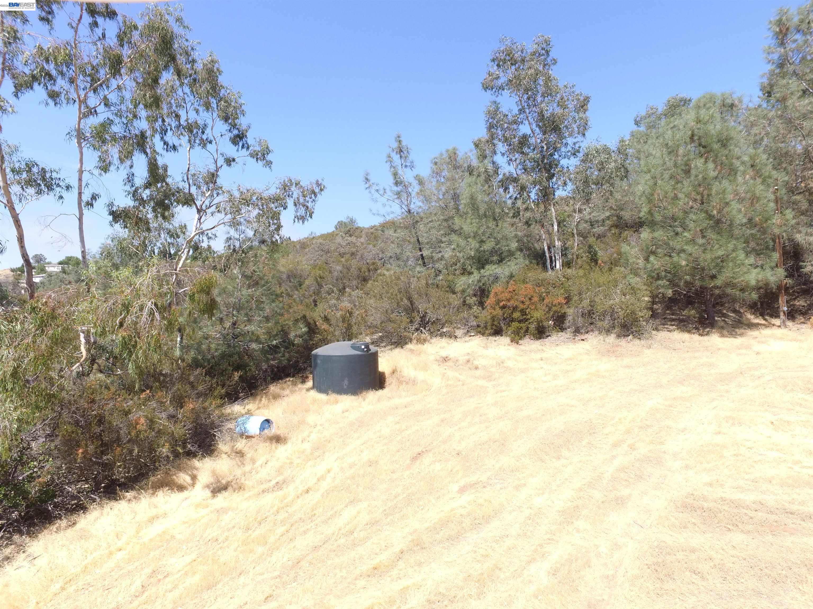 3341 Rancho Tierra Court Cameron Park, CA 95682 - Photo 27 of 28 a view of a dry yard with a tree