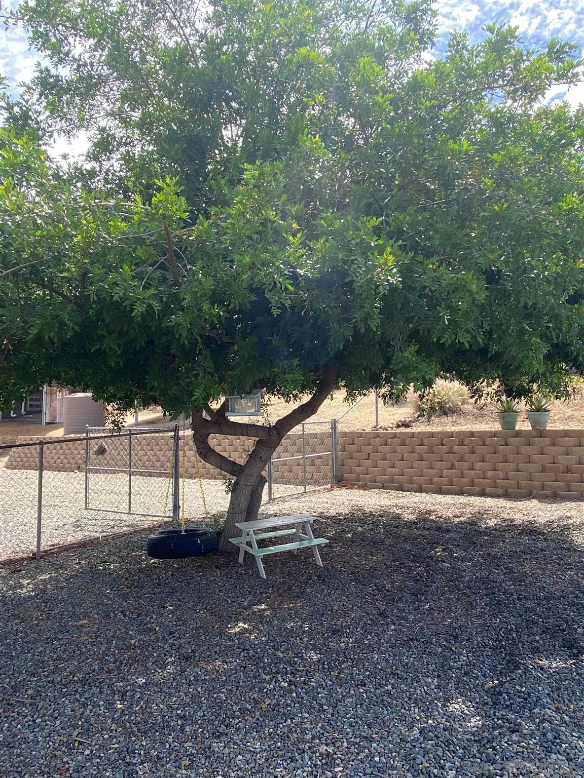 32251 Cole Grade Road Valley Center, CA 92082 - Photo 3 of 54 a view of a yard with a tree