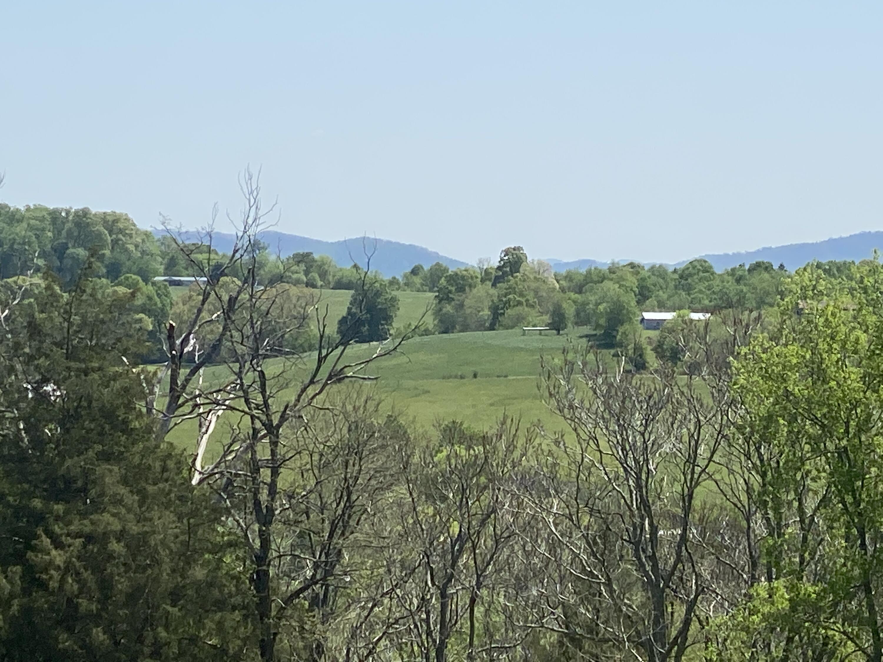 Lot 1 Rauhof Road, Unit 1 Telford, TN 37690 - Photo 18 of 30 IMG_0190