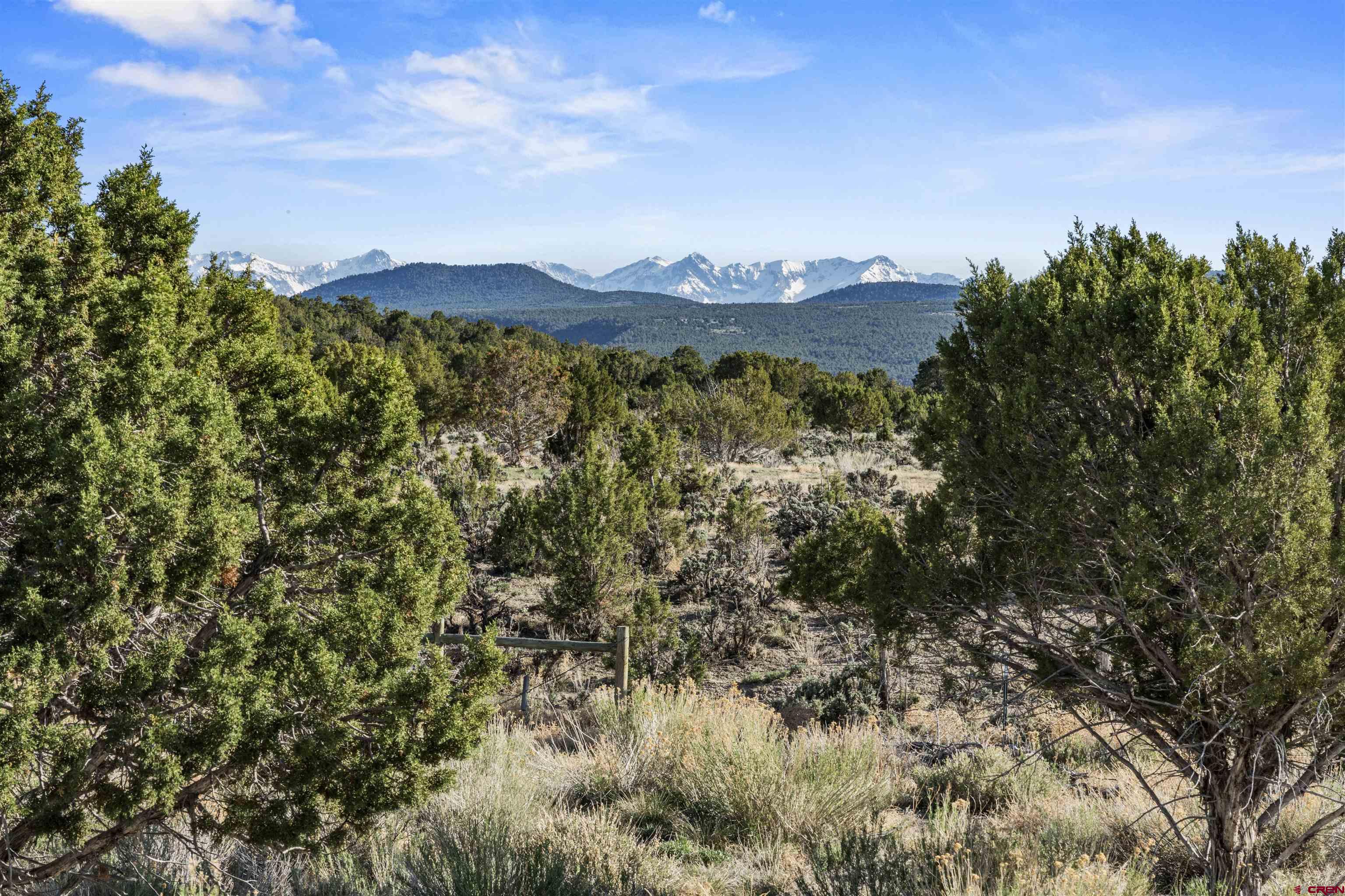 70848 Buckhorn Road Montrose, CO 81403 - Photo 42 of 43 a view of a bunch of trees in a field