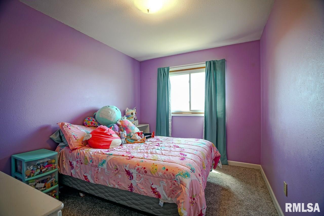 7893 Old State Rte 121 Hopedale, IL 61747 - Photo 21 of 37 Gallery Image 21