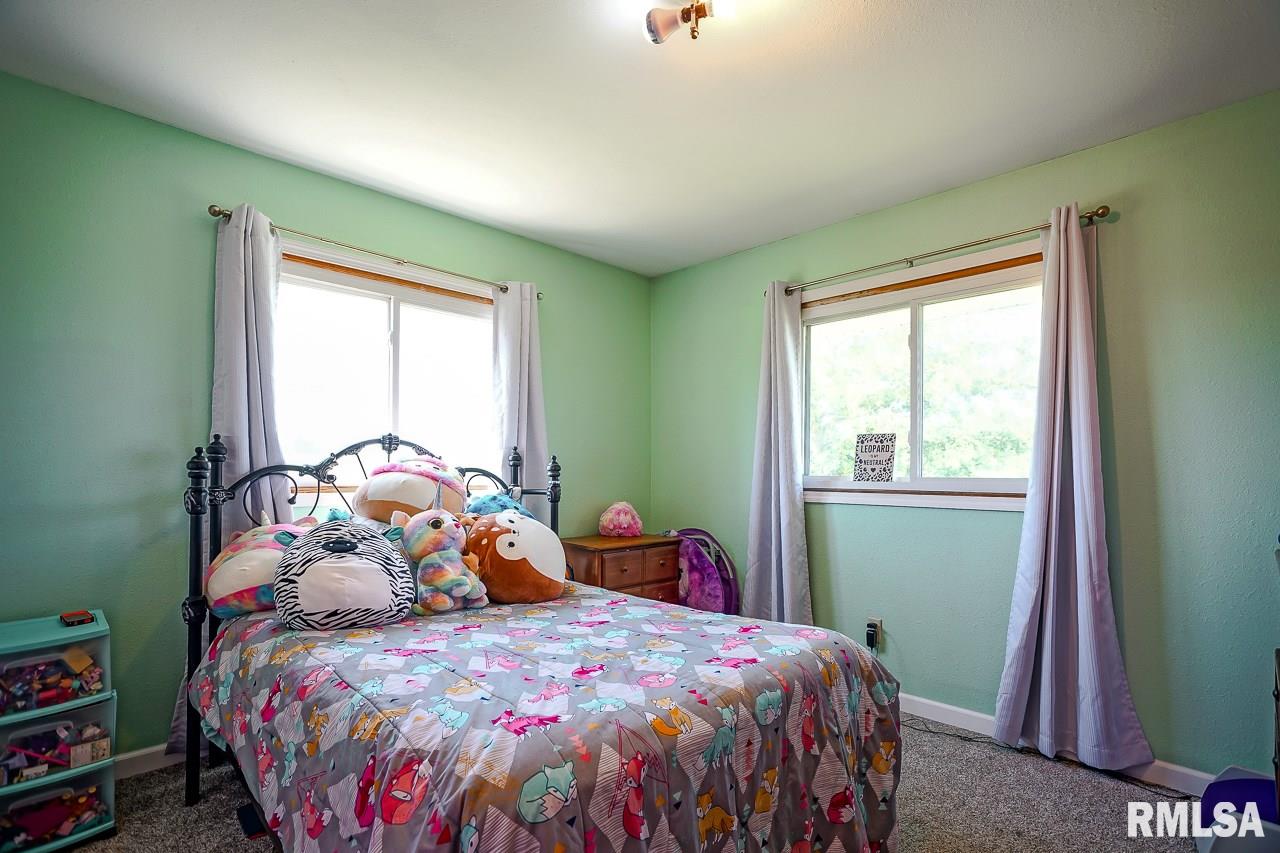 7893 Old State Rte 121 Hopedale, IL 61747 - Photo 24 of 37 Gallery Image 24