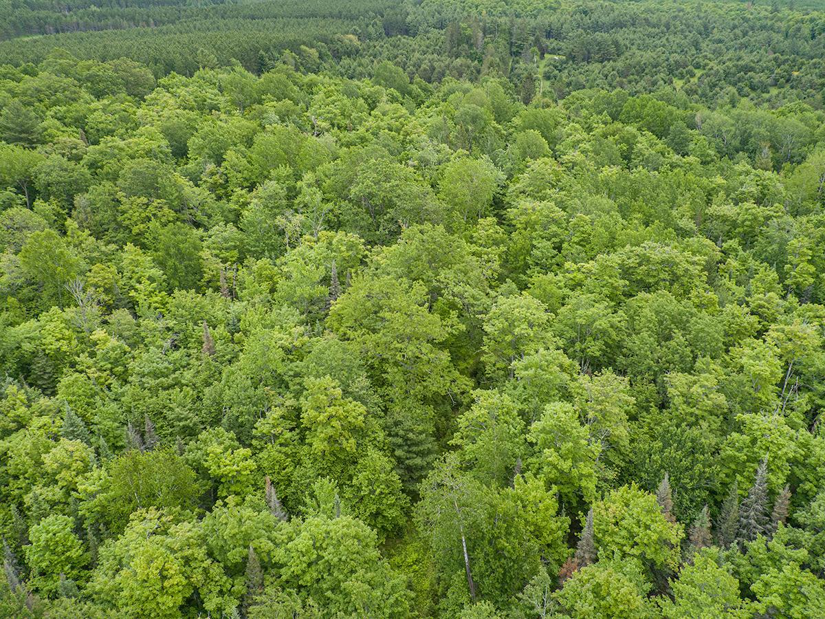 Off Monheim Road Conover, WI 54519 - Photo 27 of 28 Gallery Image 27