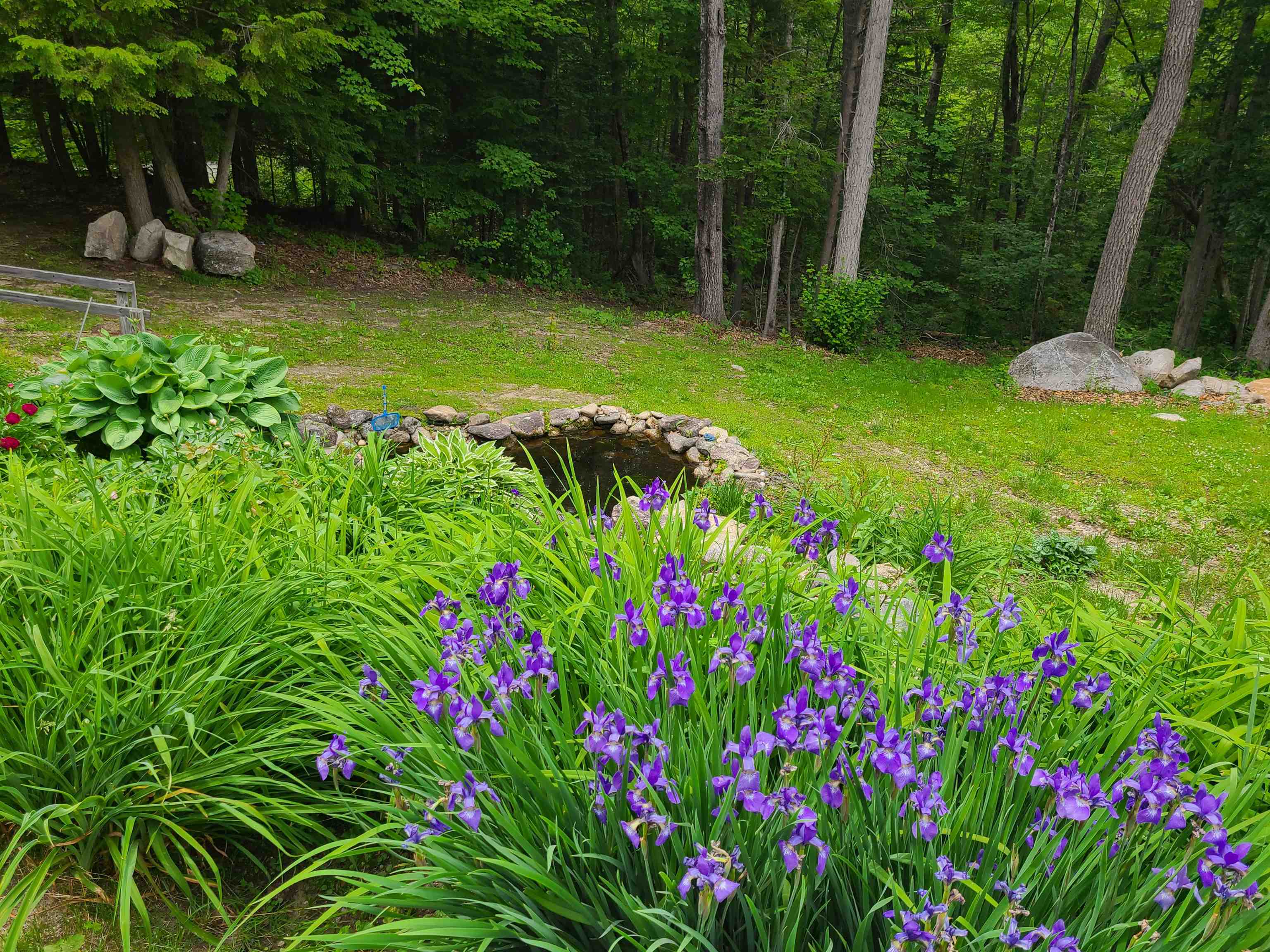 87 Sodom Road Tuftonboro, NH 03816 - Photo 45 of 60
