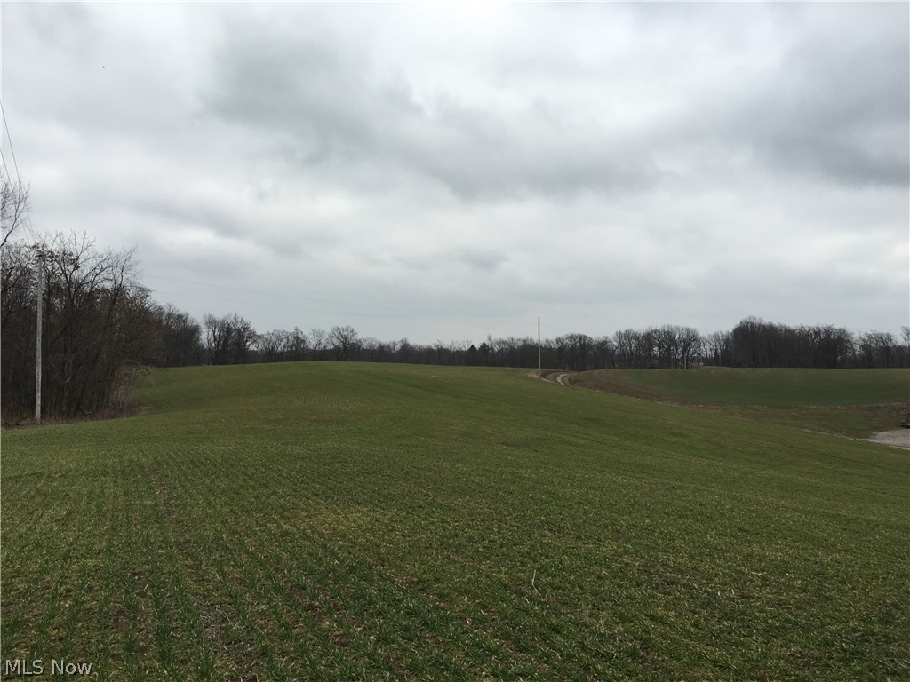 7130 Young Road Adamsville, OH 43802 - Photo 13 of 16 Rosan Echelberry Farm Auction 7130 Young Rd, Adamsville OH 43802