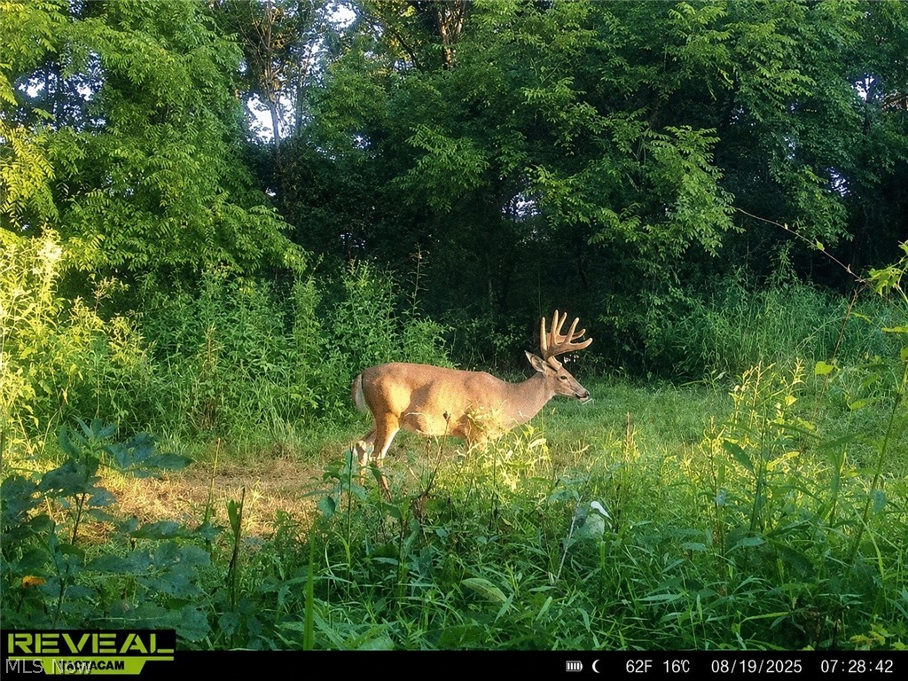 Taylor Road Cambridge, OH 43725 - Photo 10 of 48
