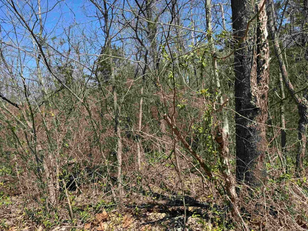 $59,900 | Lot B-21 Spencer In 47460, Spencer, IN 47460