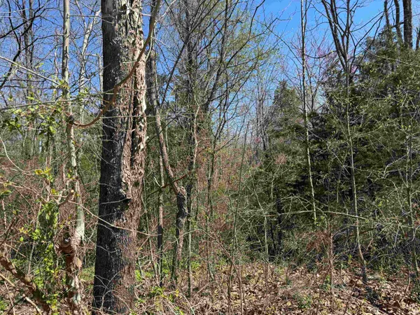 $59,900 | Lot B-21 Spencer In 47460, Spencer, IN 47460