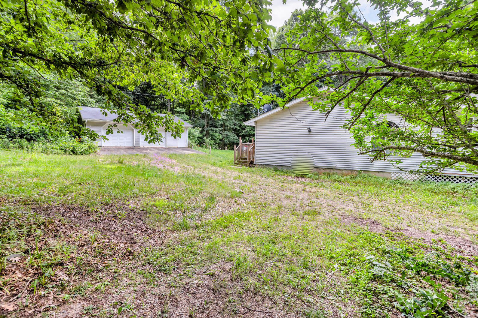 15775 Elm Row Road Albion, MI 49224 - Photo 34 of 37 0N0A5841