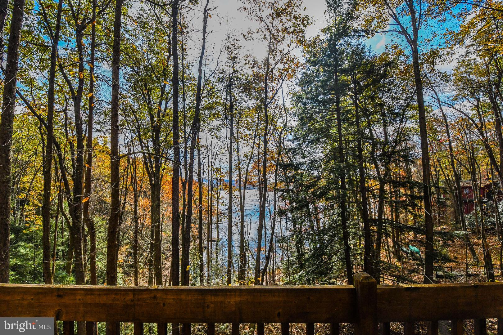 1544 Stockslager Road Oakland, MD 21550 - Photo 11 of 40