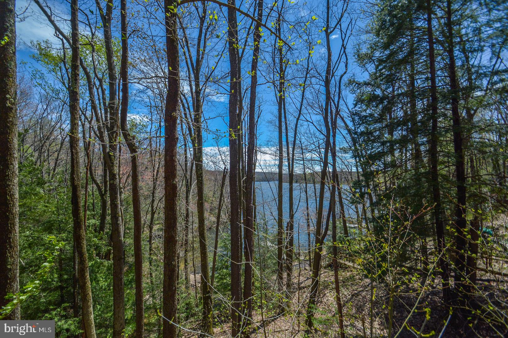 1544 Stockslager Road Oakland, MD 21550 - Photo 12 of 40