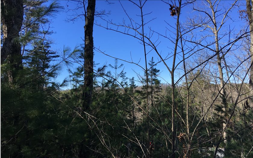 Running Brooke Court Morganton, GA 30560 - Photo 1 of 1 Main View