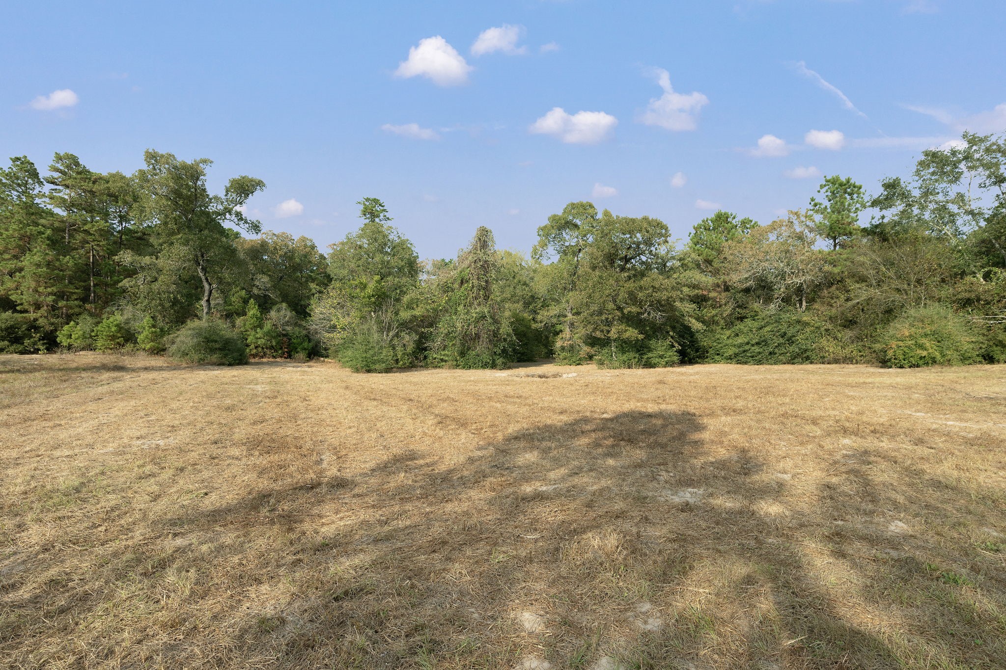 6493 Pappas Road Waller, TX 77484 - Photo 21 of 28 Open land clearing behind the home, ready for future improvements like a pole barn, garden, or workshop—plenty of room for kids to play and animals to roam in West Magnolia Forest.