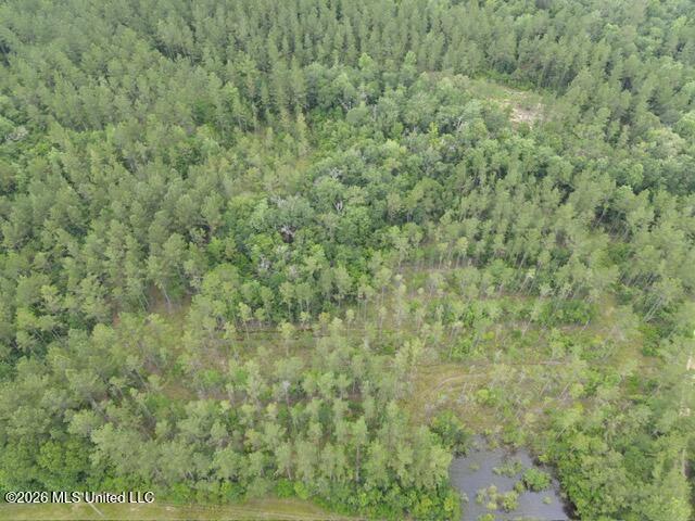 0 Stanford Lake Road Poplarville, MS 39470 - Photo 6 of 8 SL 3