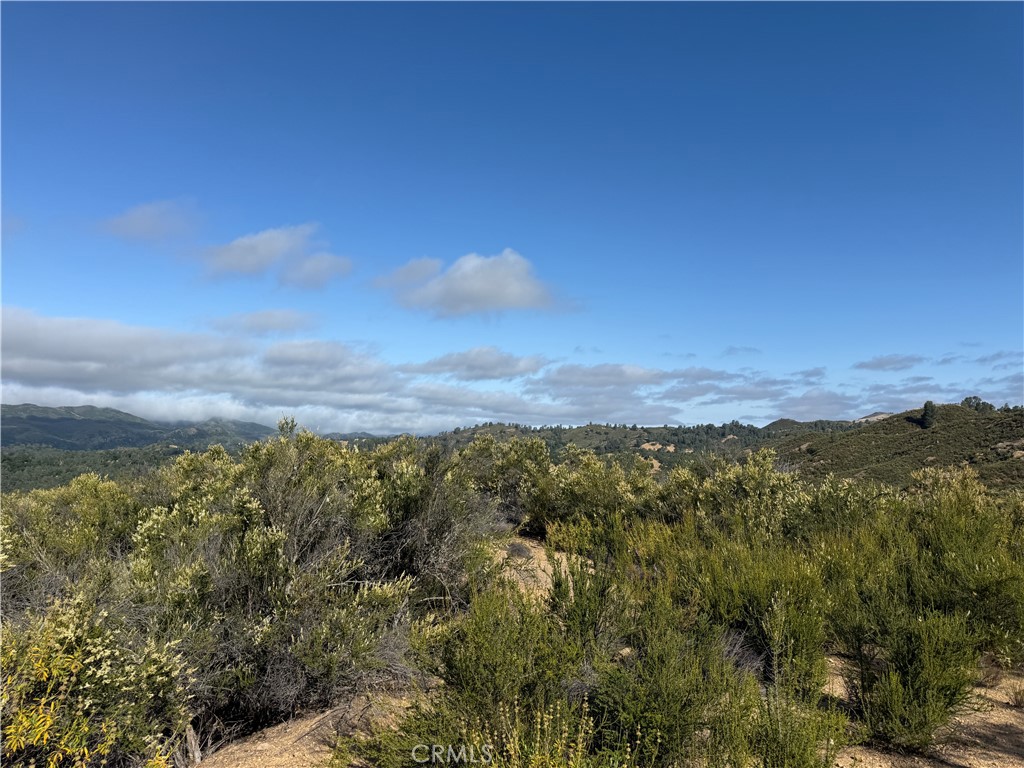 76386 Bryson Hesperia Road Bradley, CA 93426 - Photo 4 of 4 a view of a forest with mountains in the background