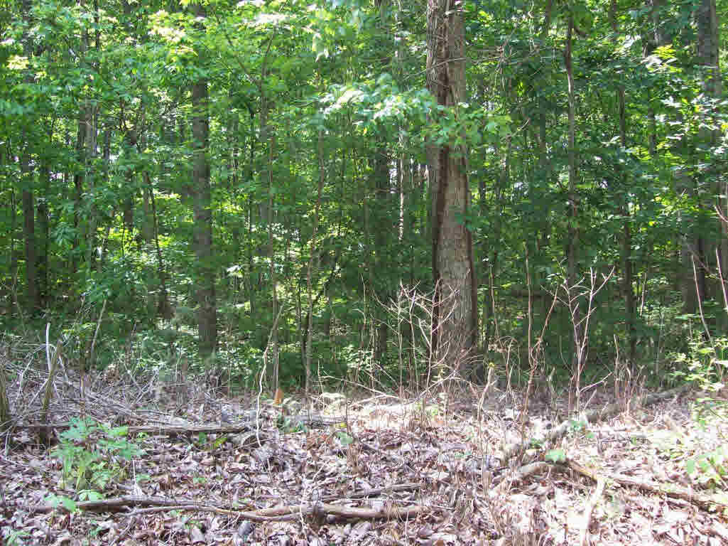 Bains Chapel Road Radford, VA 24141 - Photo 3 of 4 Gallery Image 3