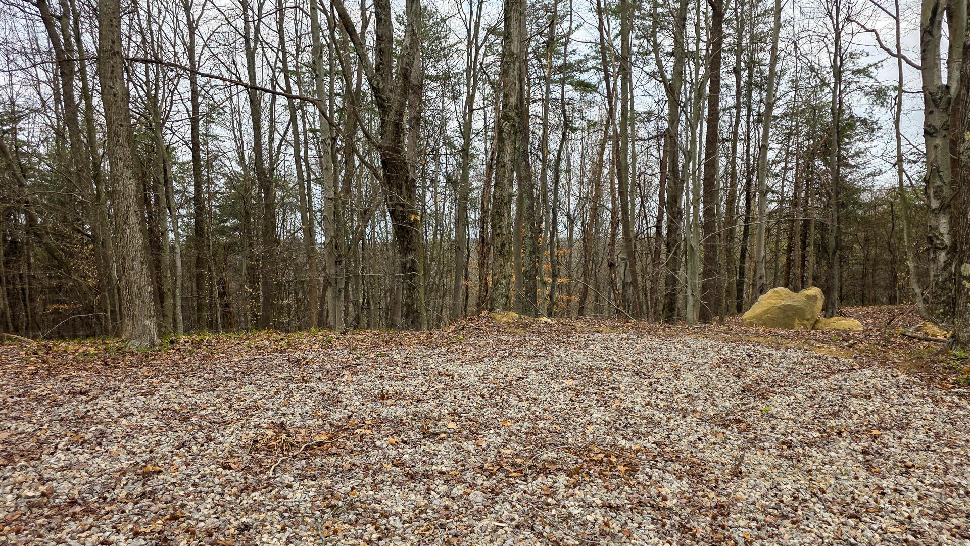 818 Campaign Poplar Road, Unit PONDS POPLAR RIDGE TRACT 4) Gallipolis, OH 45631 - Photo 17 of 24 CT-17
