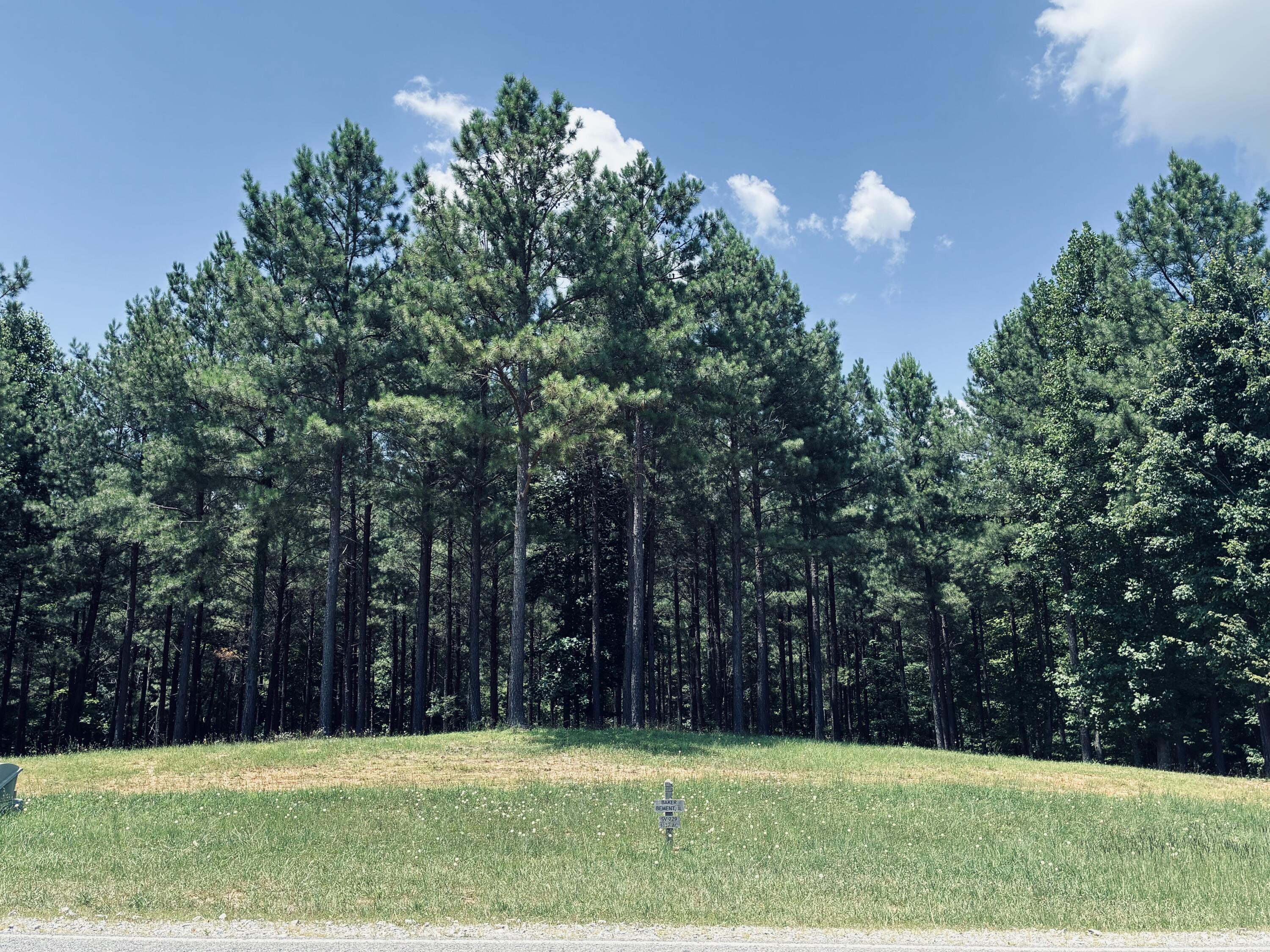 1711 Raulston Fls Road, Unit SV239/230 Jasper, TN 37347 - Photo 2 of 40 IMG_7230