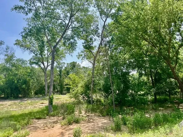 $97,000 | Lot 46 Antrim Court, Poolville, TX 76487