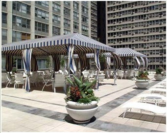 655 West Irving Park Road, Unit 2508 Chicago, IL 60613 - Photo 12 of 20 a view of a building with potted plants and couches