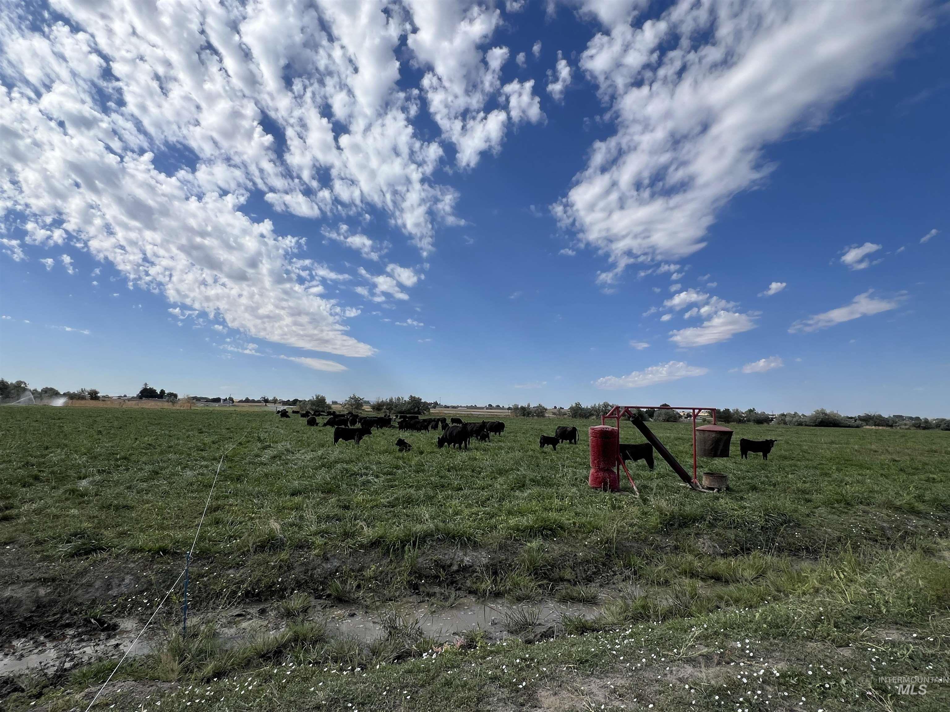 18396 Lower Pleasant Ridge Road Caldwell, ID 83607 - Photo 12 of 14
