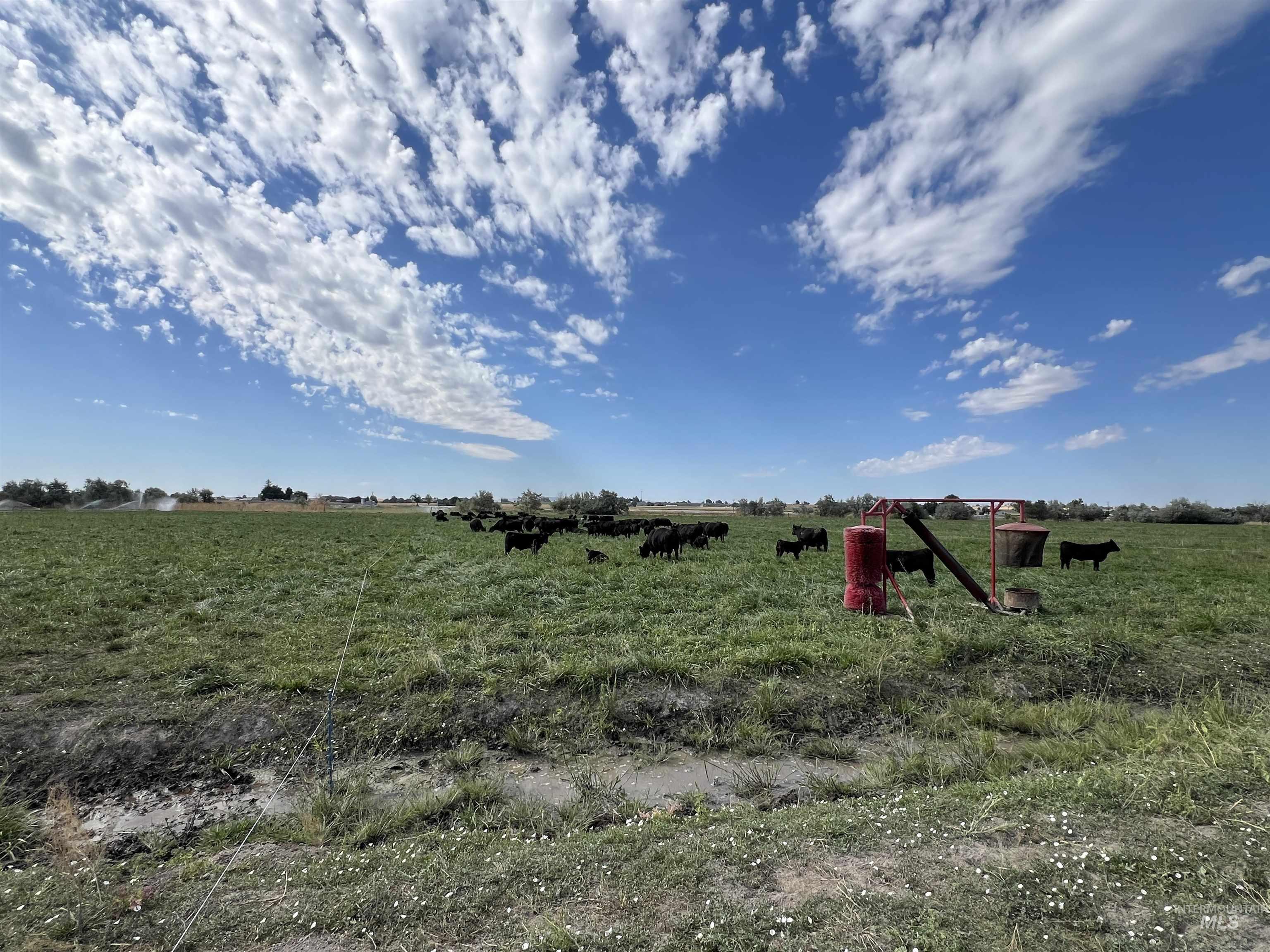18396 Lower Pleasant Ridge Road Caldwell, ID 83607 - Photo 13 of 14