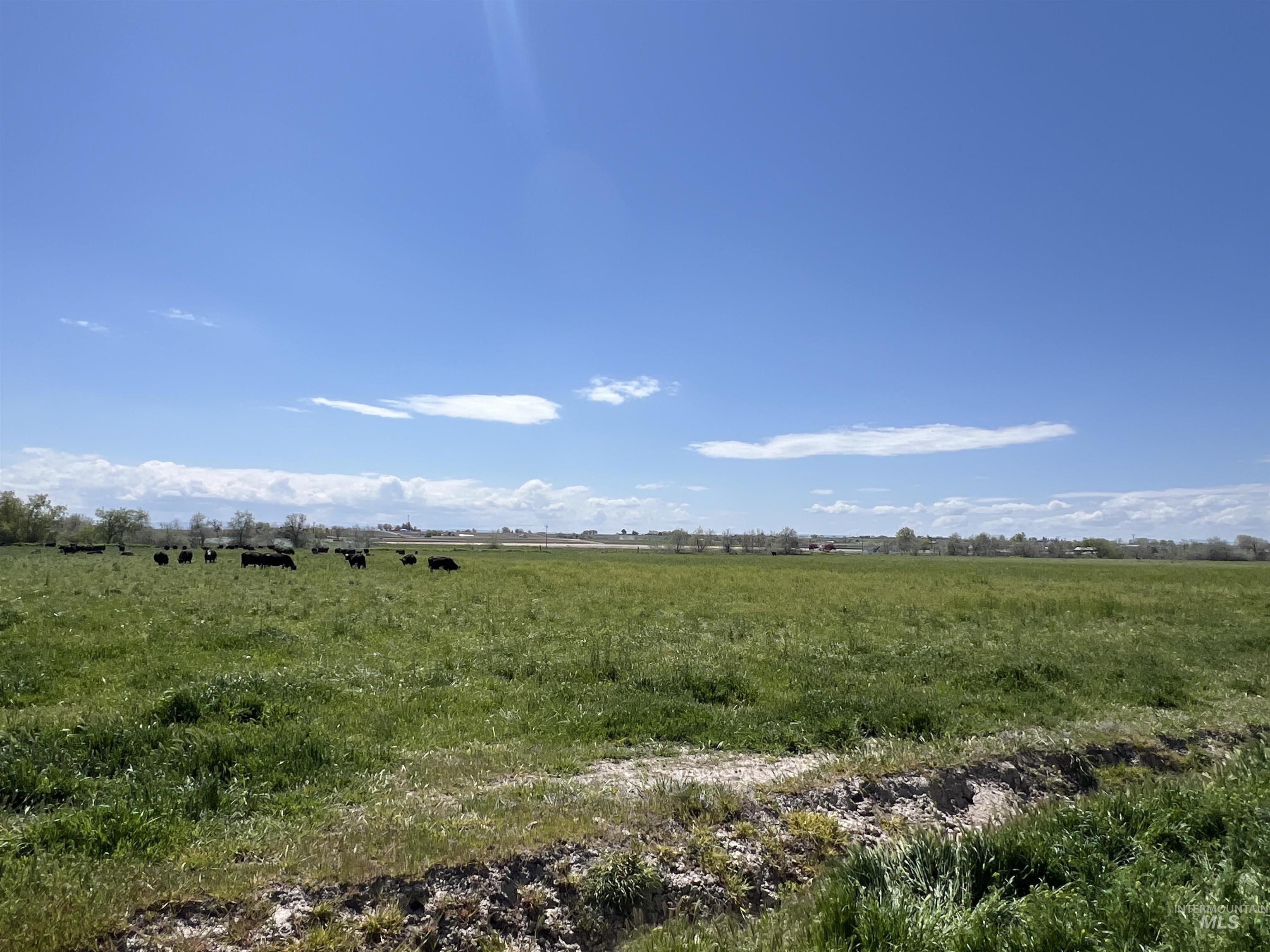 18396 Lower Pleasant Ridge Road Caldwell, ID 83607 - Photo 14 of 14