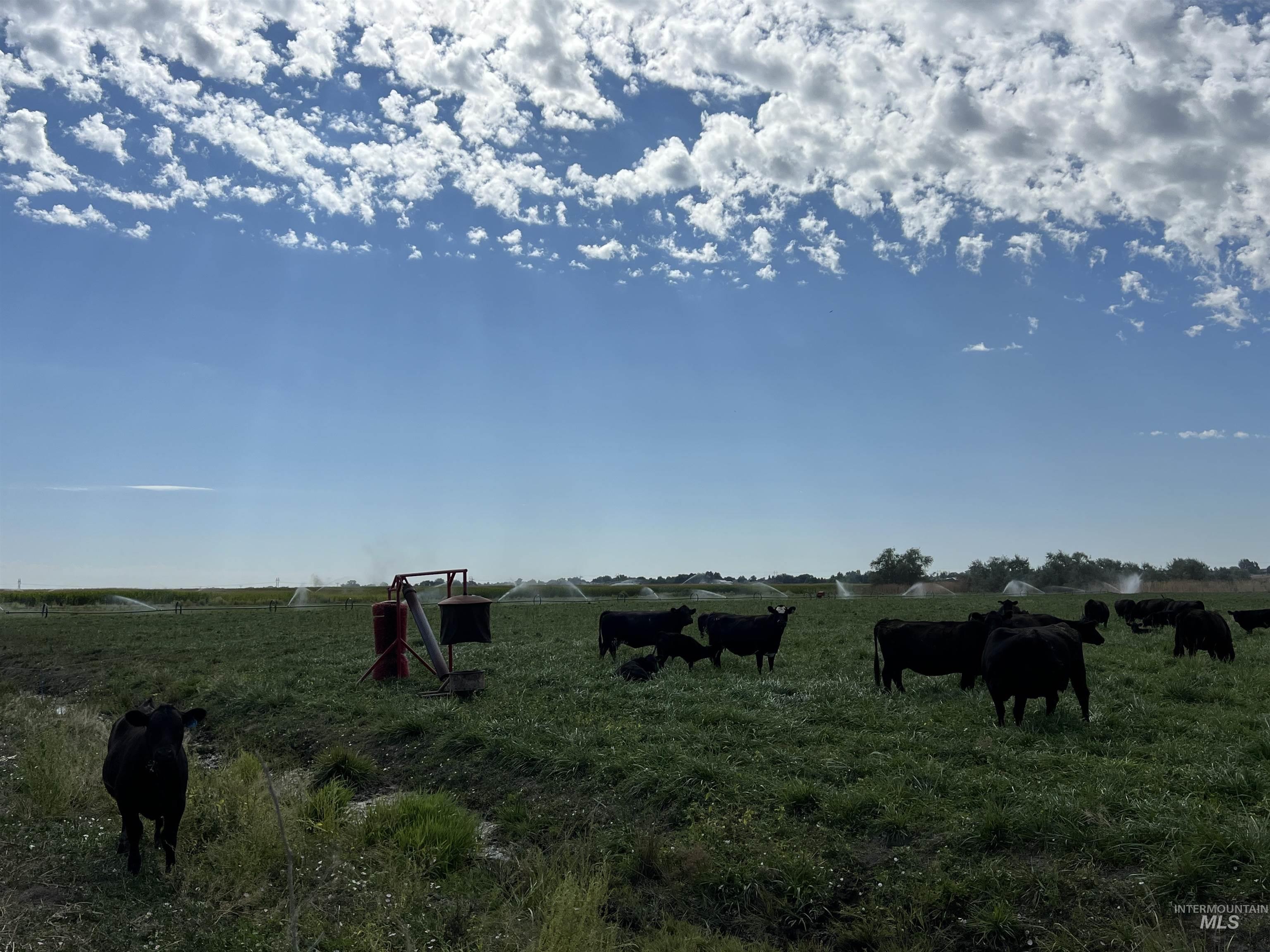 18396 Lower Pleasant Ridge Road Caldwell, ID 83607 - Photo 3 of 14