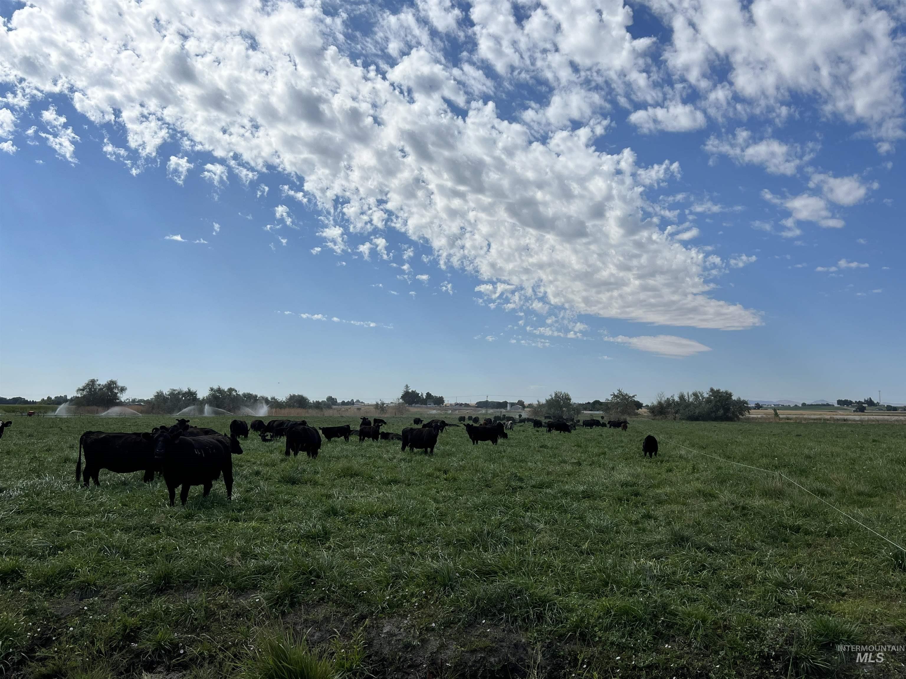 18396 Lower Pleasant Ridge Road Caldwell, ID 83607 - Photo 4 of 14