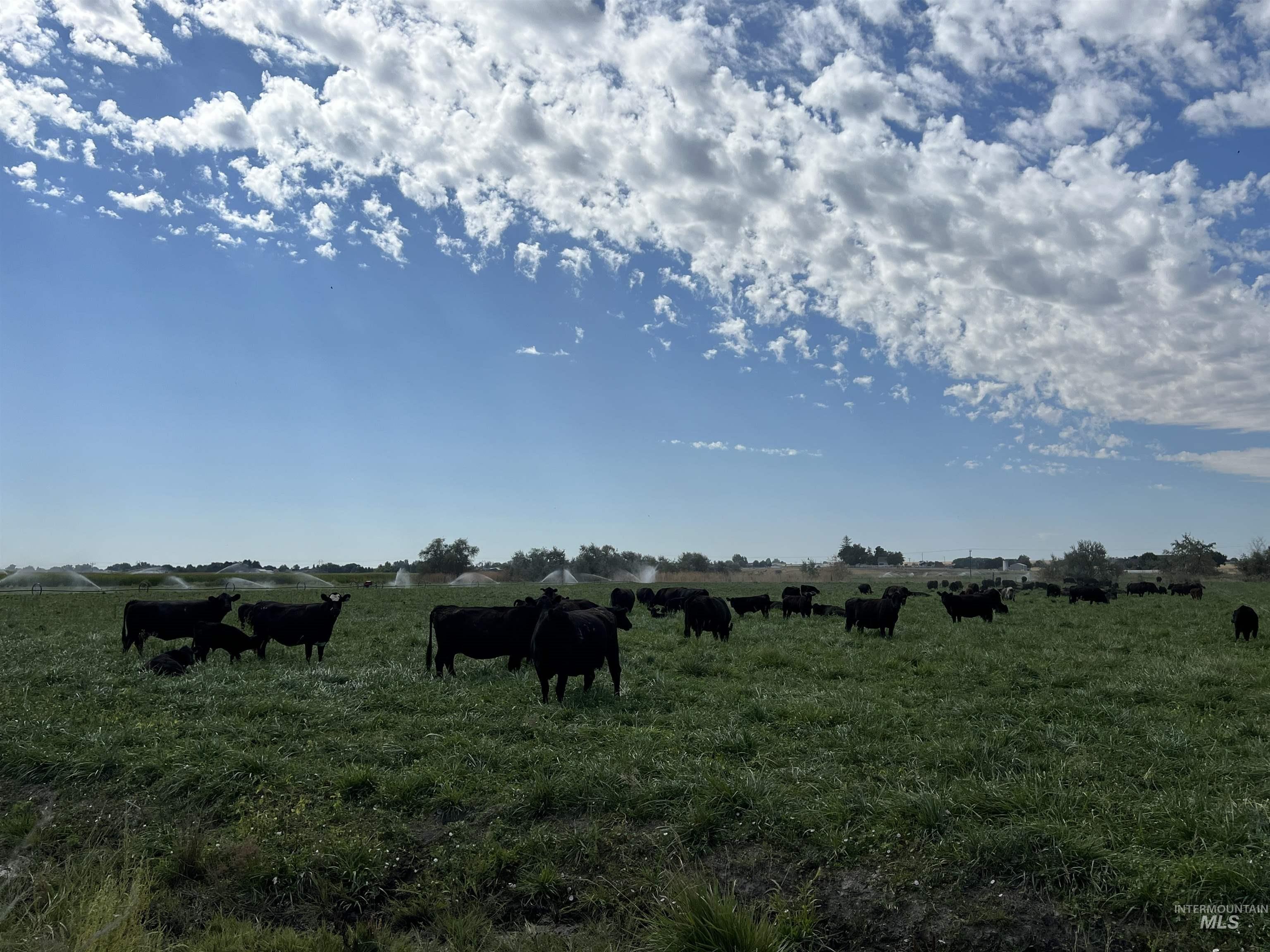 18396 Lower Pleasant Ridge Road Caldwell, ID 83607 - Photo 5 of 14