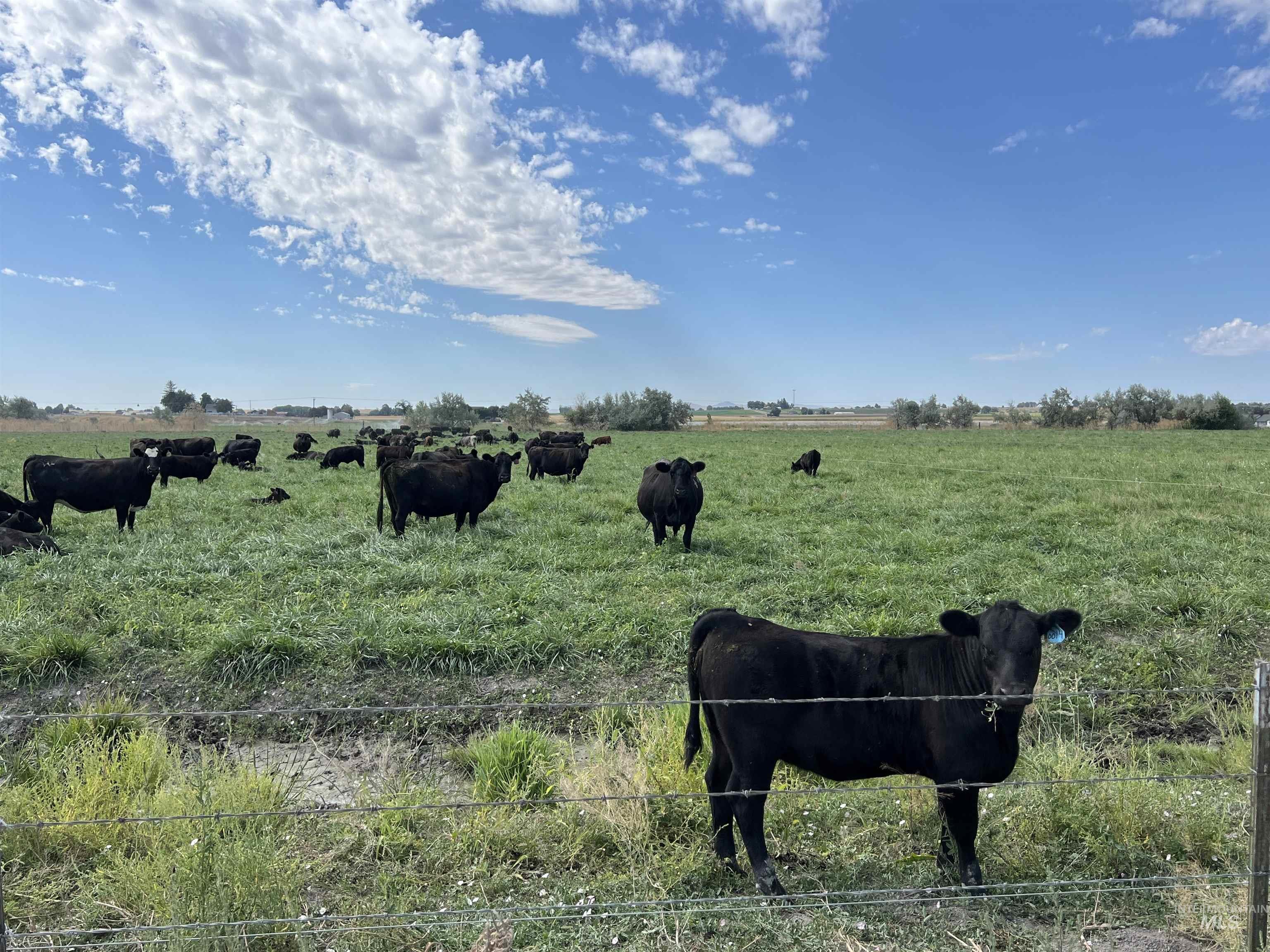 18396 Lower Pleasant Ridge Road Caldwell, ID 83607 - Photo 8 of 14