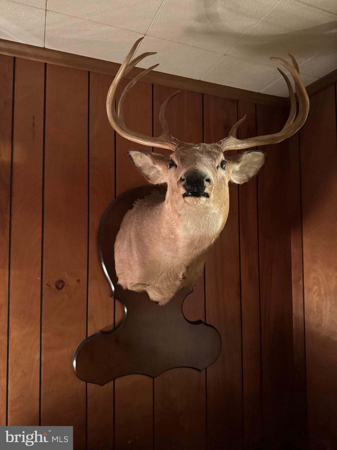 2728 Sandy Island Road Crapo, MD 21626 - Photo 15 of 15