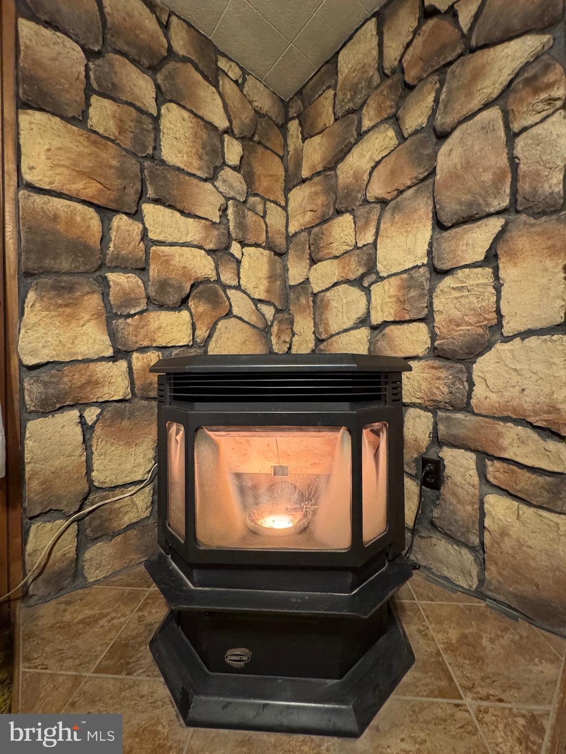 2728 Sandy Island Road Crapo, MD 21626 - Photo 6 of 15 a room that has a fireplace and a plant