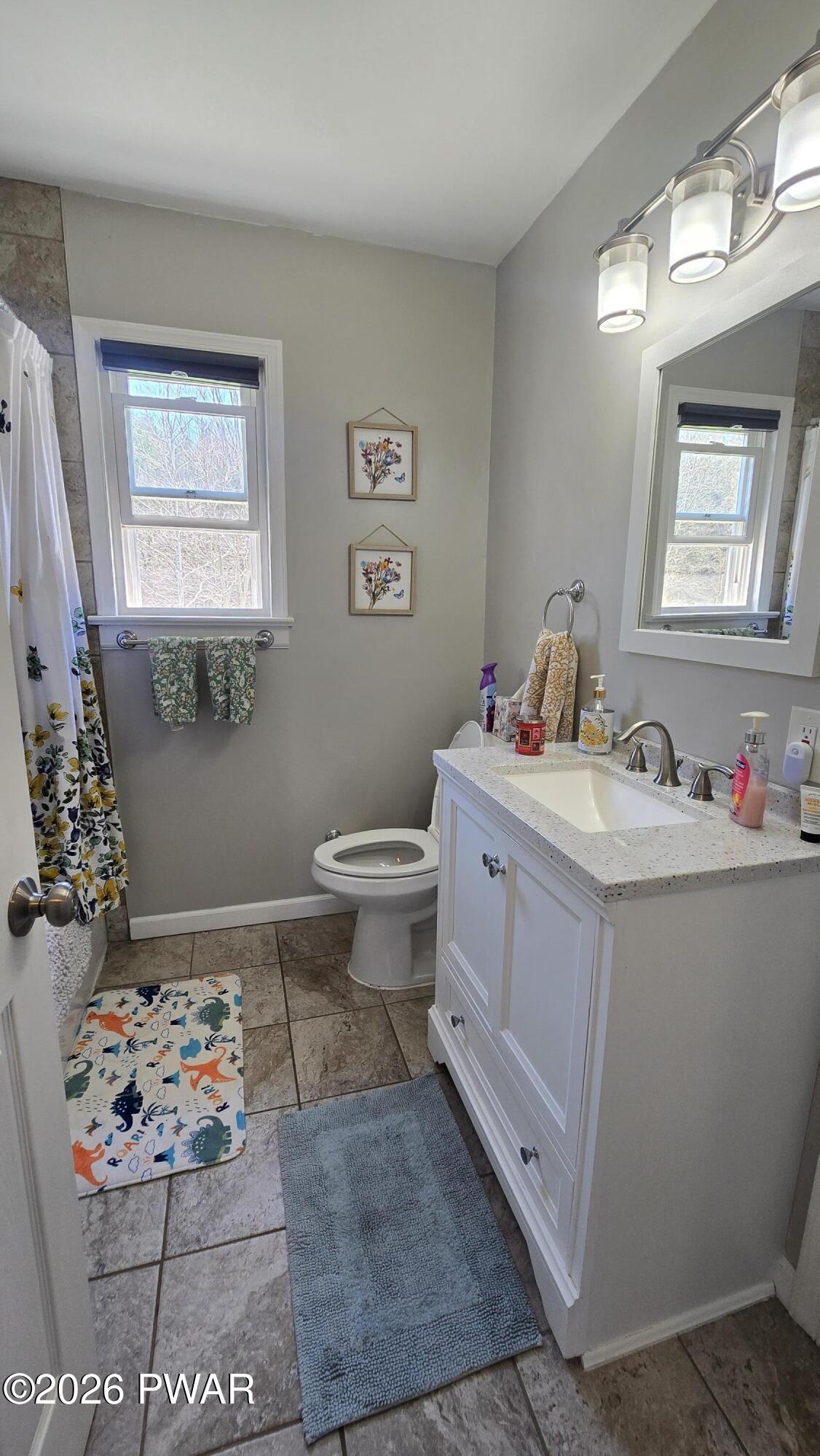 430 Griffith Road Tyler Hill, PA 18469 - Photo 15 of 31 a bathroom with a sink mirror and a toilet
