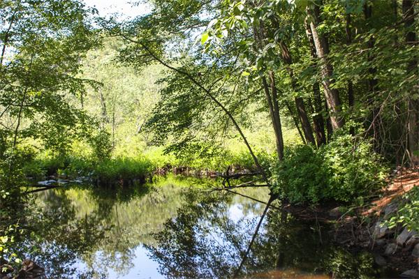 26 Gilson Road Littleton, MA 01460 - Photo 17 of 18 a backyard of a house with lots of trees