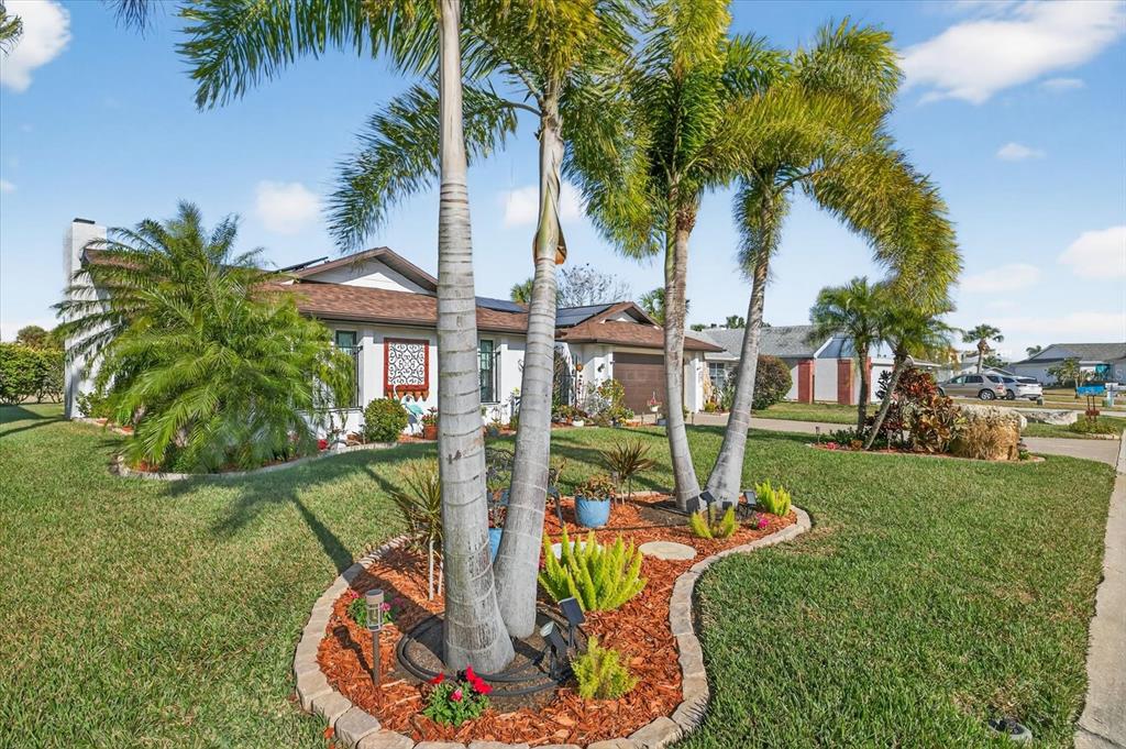 4551 Ingersol Place New Port Richey, FL 34652 - Photo 58 of 66