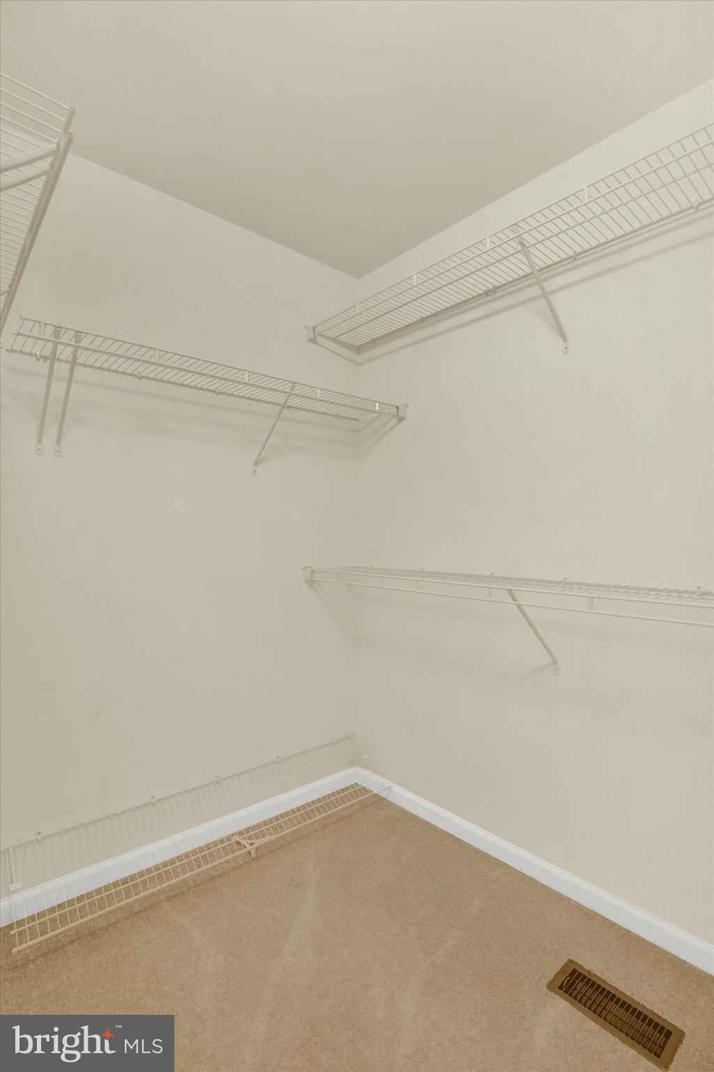 480 Claiborne Road North East, MD 21901 - Photo 13 of 26 Walk-In Closet