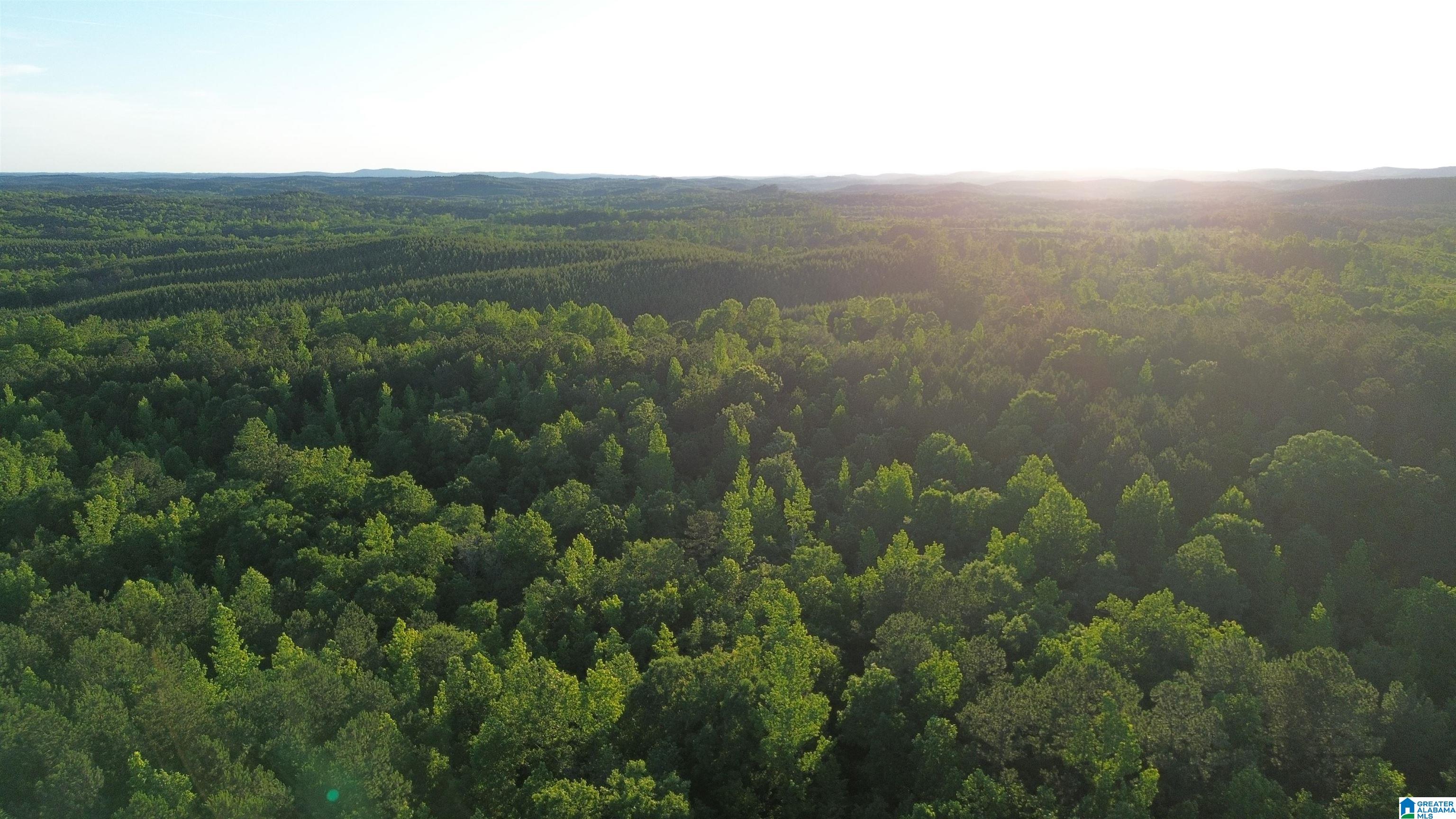 0 Bluff Springs Road Ashland, AL 36251 - Photo 2 of 8