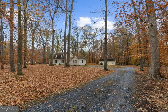 a view of road and trees