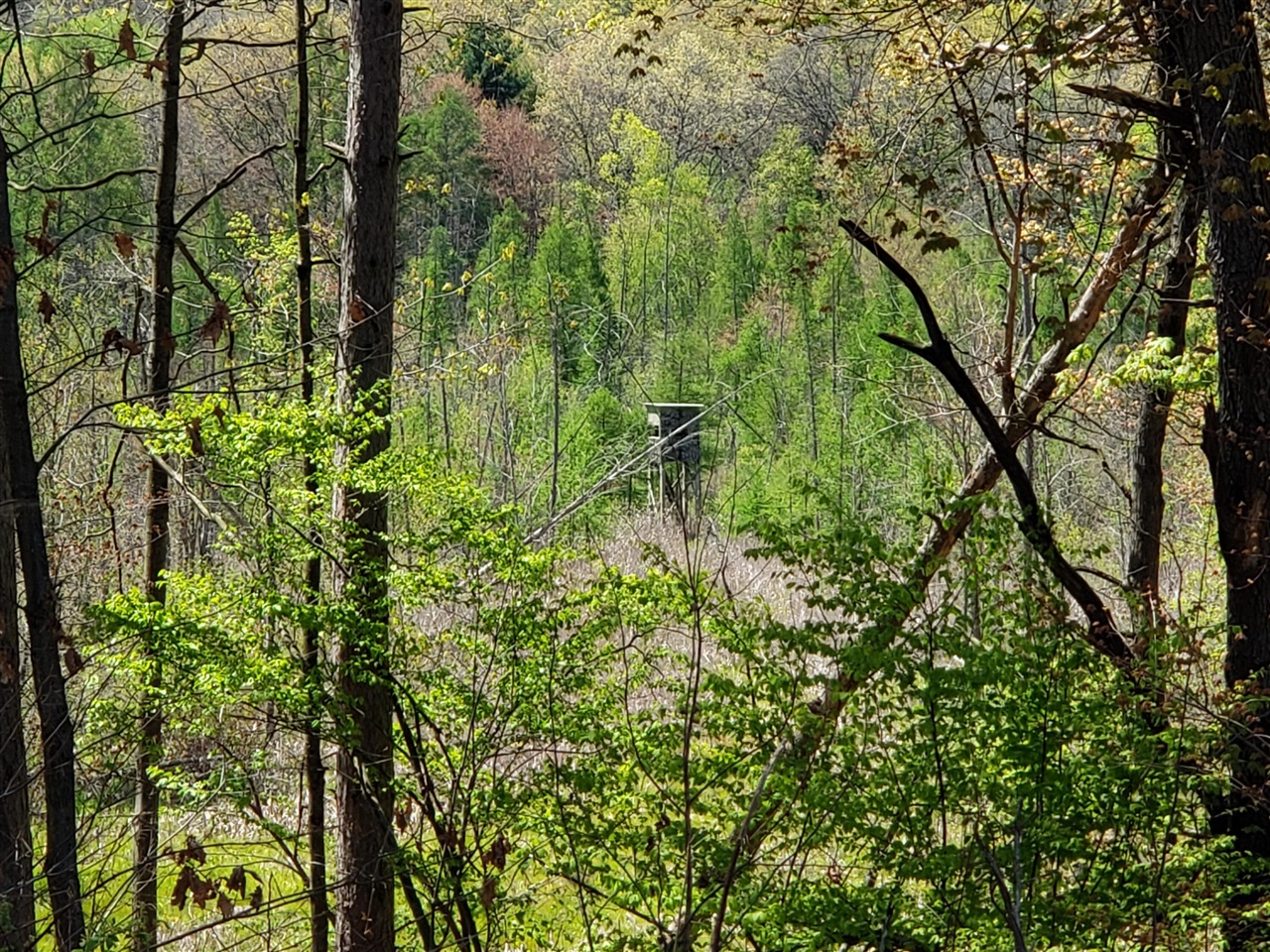 1700 Hamilton Road Battle Creek, MI 49017 - Photo 17 of 56