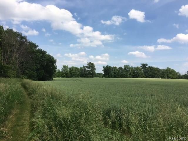 3874 Peters Road Columbiaville, MI 48421 - Photo 21 of 28 21 - Front field.JPG