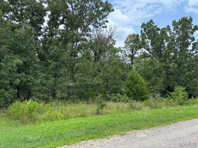 Lot 31 West Hickory Ridge Road Steelville, MO 65565 - Photo 5 of 8 Gallery Image 5