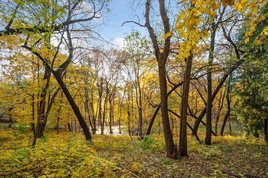 20625 Garden Road Shorewood, MN 55331 - Photo 49 of 49