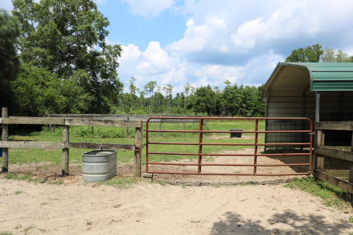 8954 Bells Highway Ruffin, SC 29475 - Photo 17 of 80 IMG_7431