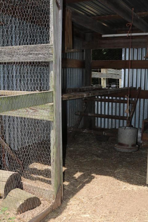 8954 Bells Highway Ruffin, SC 29475 - Photo 22 of 80 IMG_7438